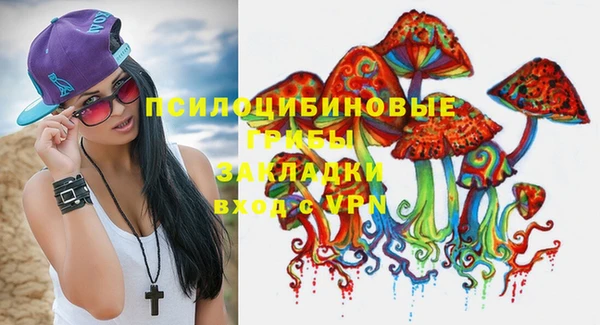 ALPHA PVP Осинники