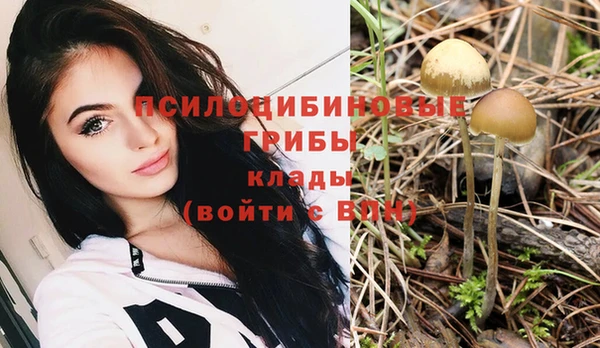 ALPHA PVP Осинники