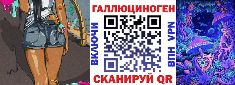 mega рабочий сайт  Кондопога  Псилоцибиновые грибы Psilocybe 