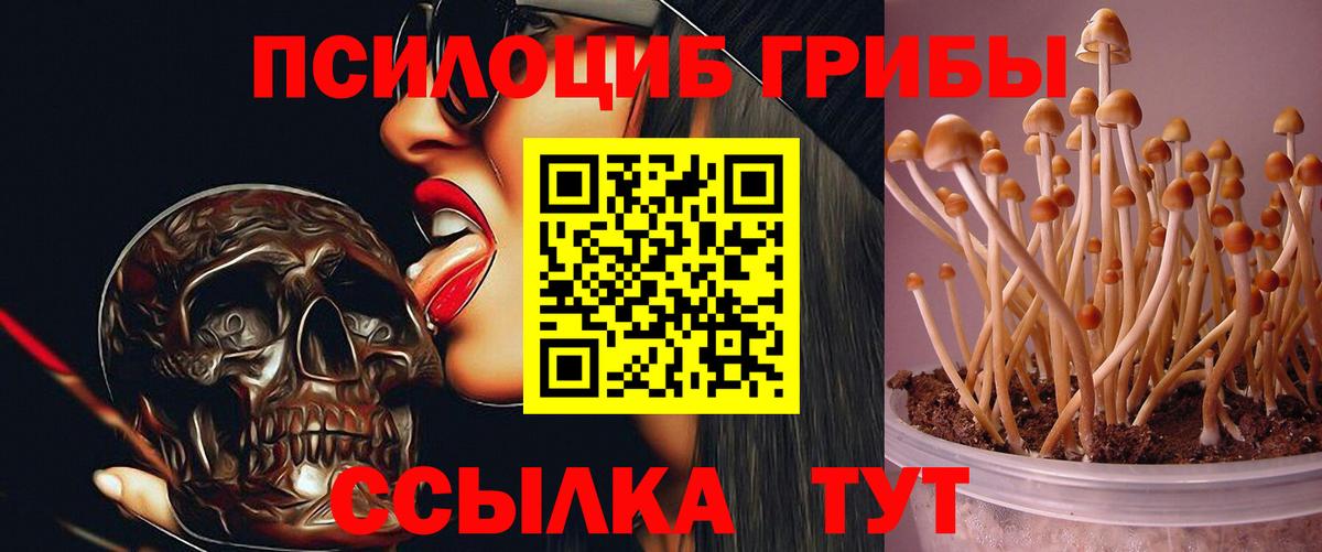 Псилоцибиновые грибы Magic Shrooms Кондопога