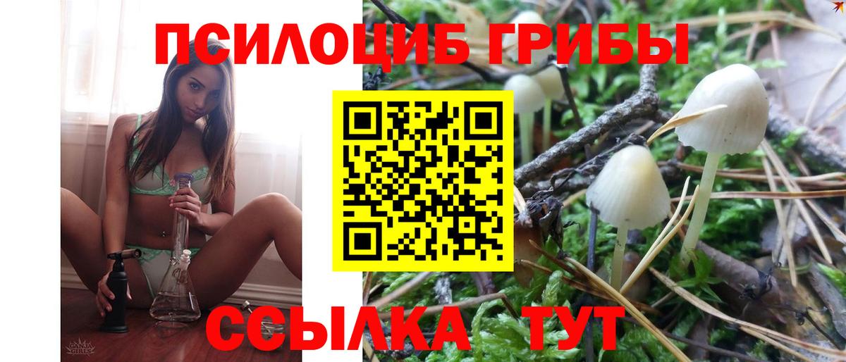 Кондопога  Псилоцибиновые грибы Cubensis  Вход с VPN  Галлюциногенные грибы прущие грибы 