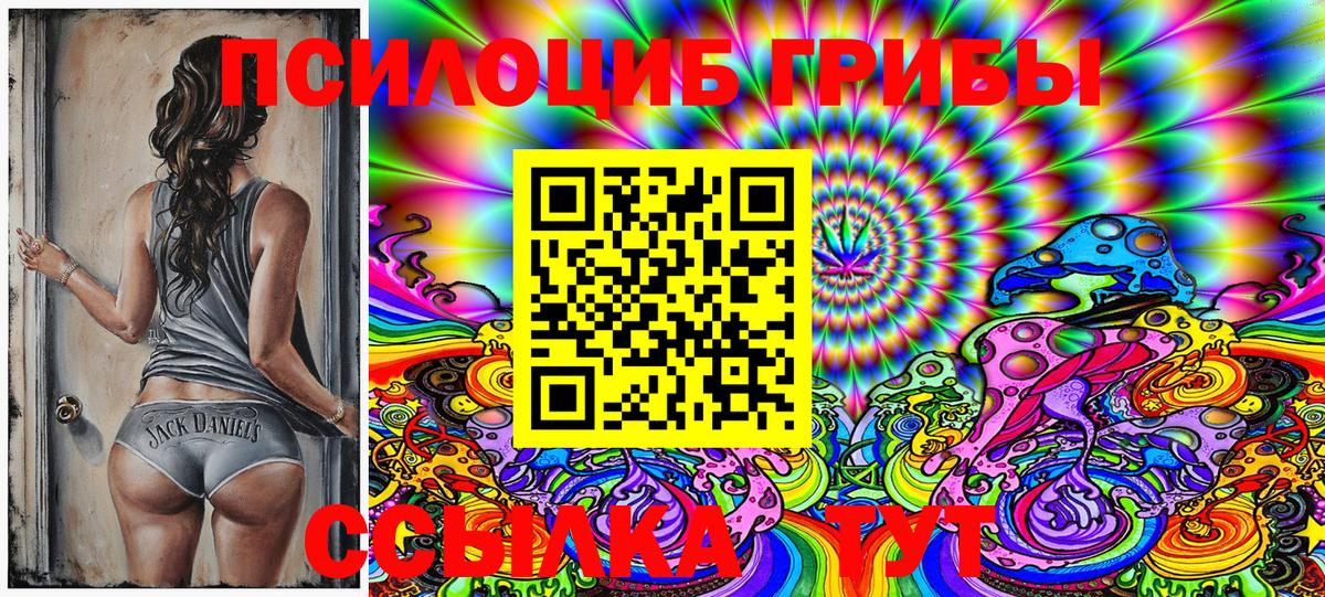 Галлюциногенные грибы Cubensis Кондопога